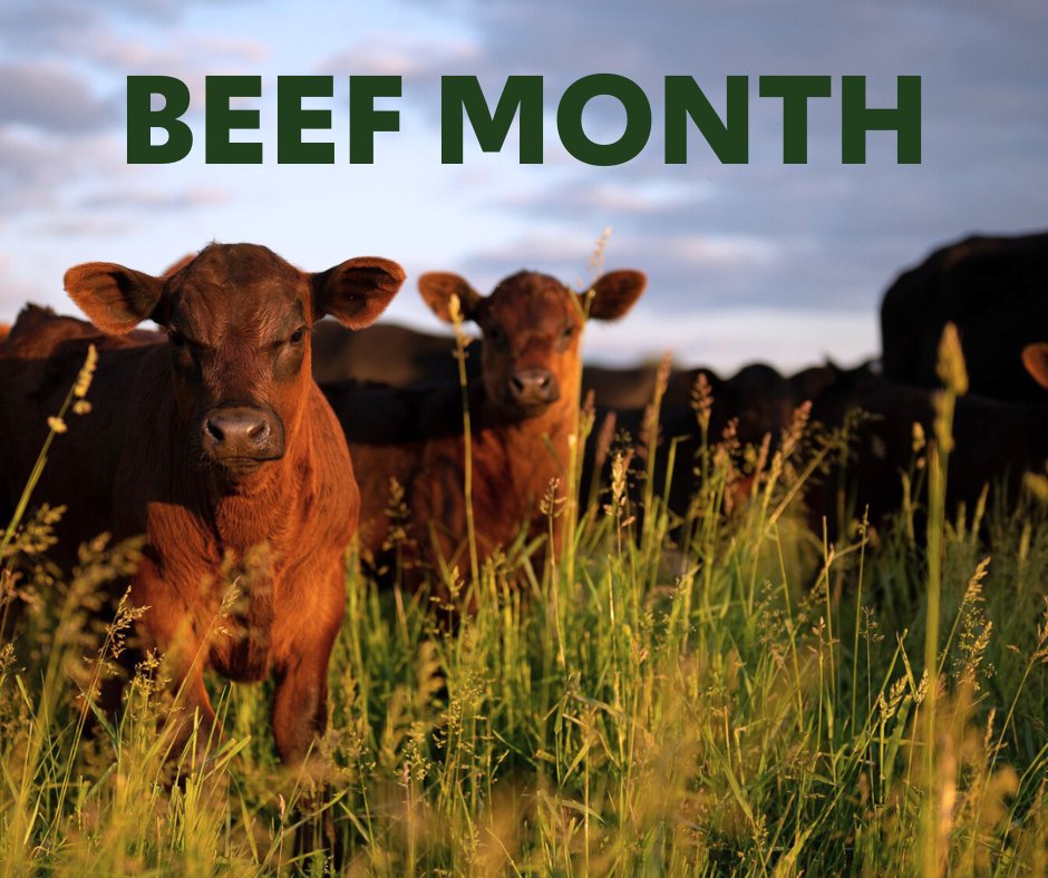 AgCountry's tweet photo. It’s National Beef Month! We appreciate the ranchers across the country who work tirelessly to provide beef for our tables. https://t.co/80flrATL8u