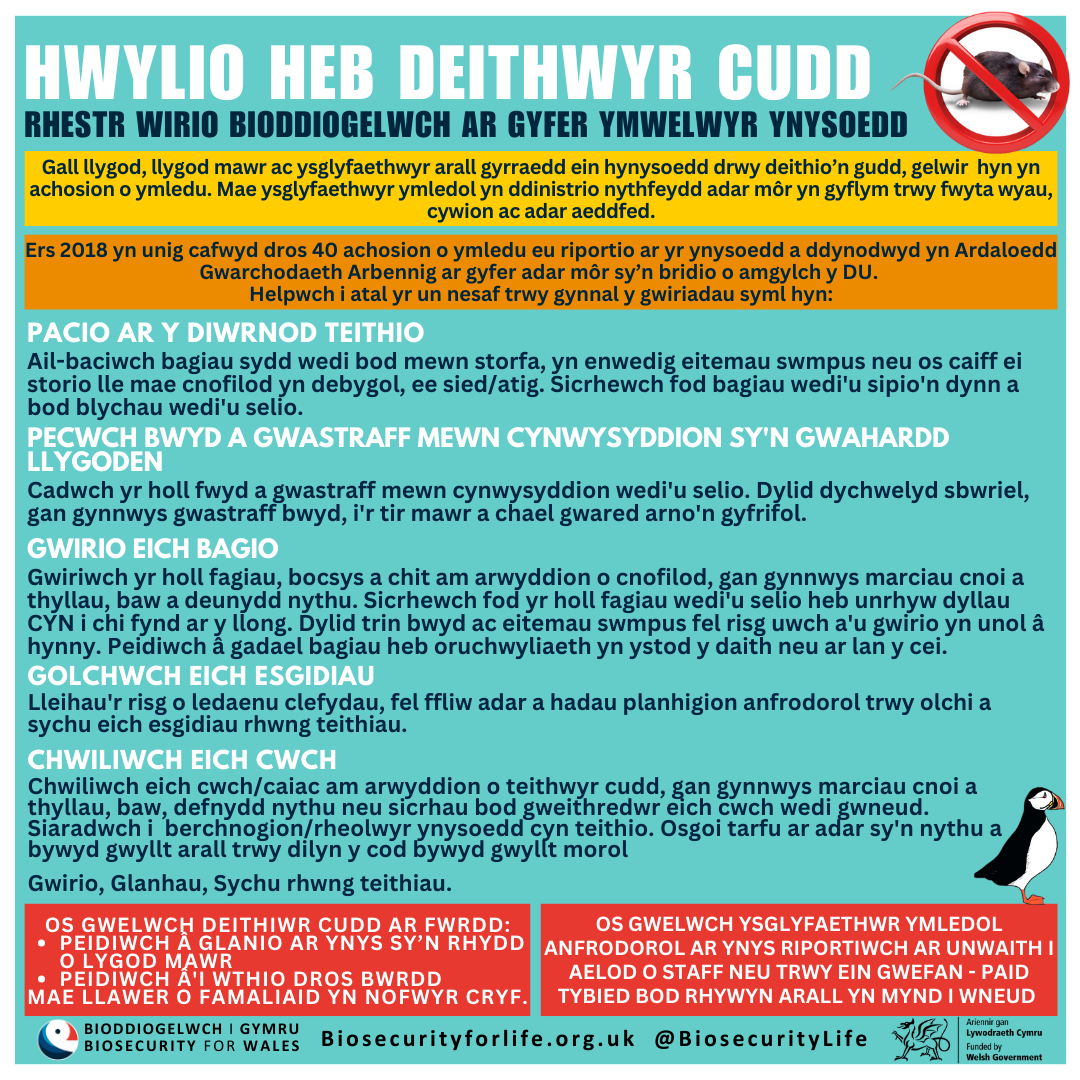 Mynd allan i ynysoedd adar y môr yr haf hwn? Tynnwch ddim byd ond lluniau a gadewch ddim byd ond olion traed. Defnyddiwch ein rhestr wirio bioddiogelwch i osgoi gyflwyno rhywogaethau ymledol neu glefydau.