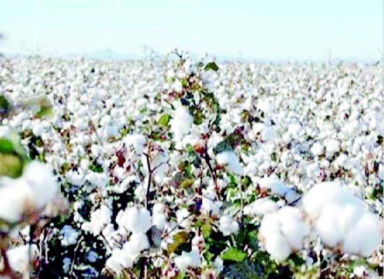 #السودان_يشكر_السعودية 🇸🇩🫶🇸🇦

مواقف تُكتب بماء الذهب…
في كل معركة نبني فيها وطناً، نجد السعودية شريكاً في النصر، ويداً تغرس معنا الأمل.

بينما تعمل قواتنا المسلحة، والقوات المساندة، على تحرير ما تبقّى من أرض السودان من دنس المتمردين، تأتي المملكة العربية السعودية بدعمها الكريم،