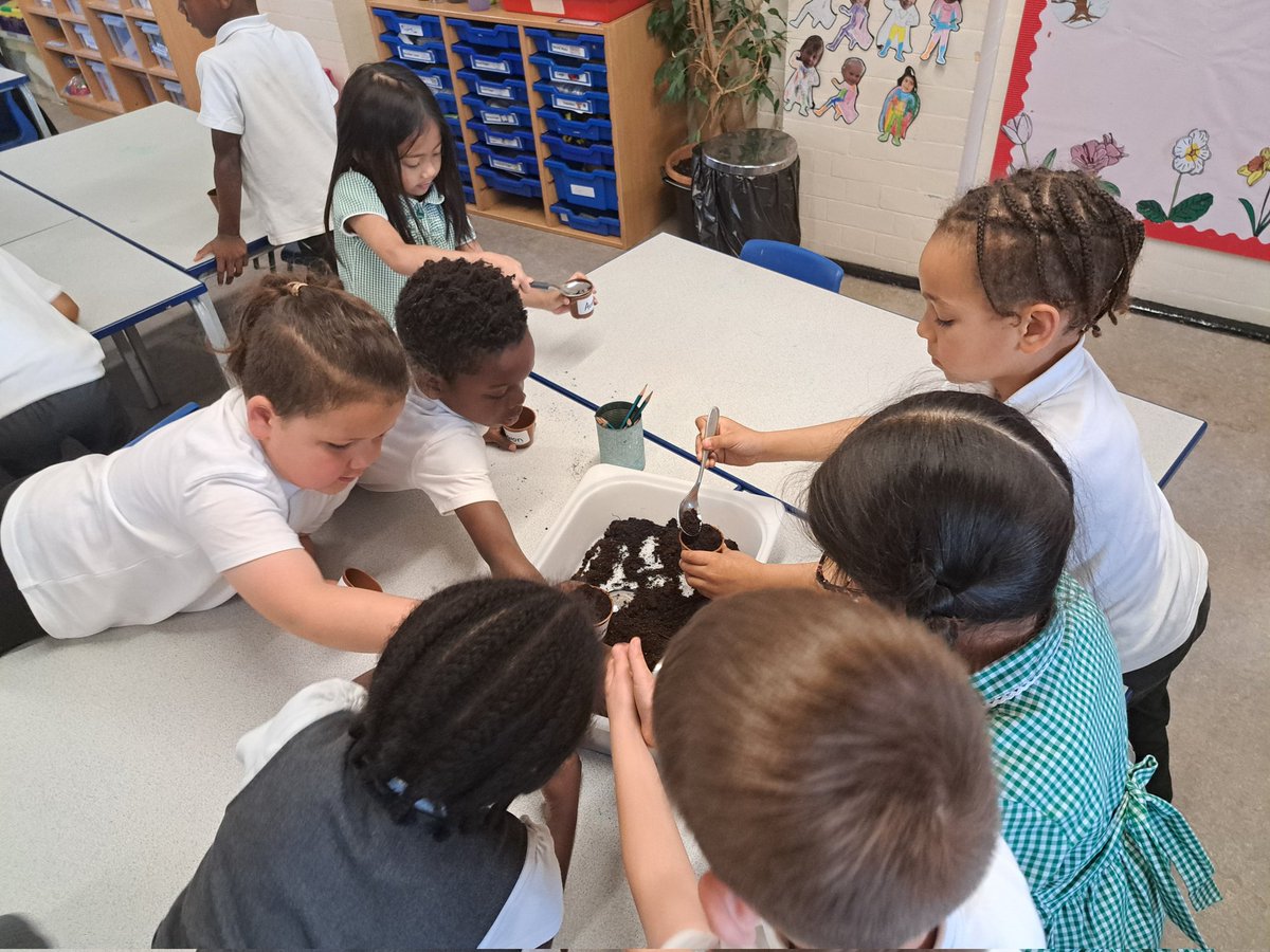 @year1fossdene tweet media
