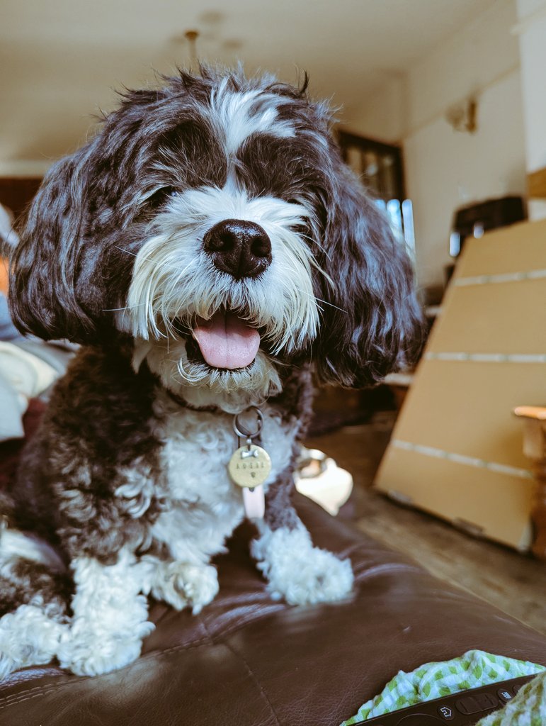 Chloe🍓 tweet media