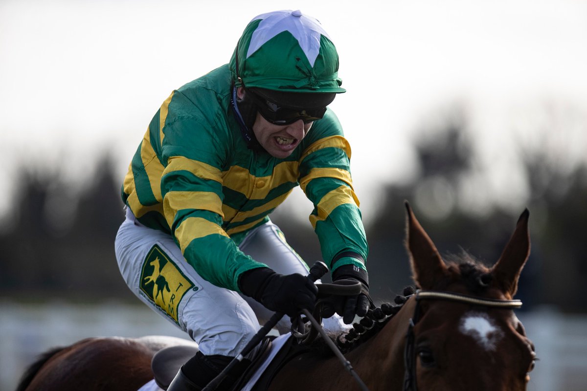 Peter Roe (@peterroe1) on Twitter photo We will miss you <a href="/Fairyhouse/">FairyhouseRacecourse</a> <a href="/jody_mcgarvey/">Jody McGarvey</a>. You had some great days at the track, including a Gr 1 double on Skyace & Janadil Easter 2022 & a <a href="/BarOneRacing/">Bar One Racing</a> Drinmore on I Am Maximus in 2023. We will miss you <a href="/Fairyhouse/">FairyhouseRacecourse</a> <a href="/jody_mcgarvey/">Jody McGarvey</a>. You had some great days at the track, including a Gr 1 double on Skyace & Janadil Easter 2022 & a <a href="/BarOneRacing/">Bar One Racing</a> Drinmore on I Am Maximus in 2023.