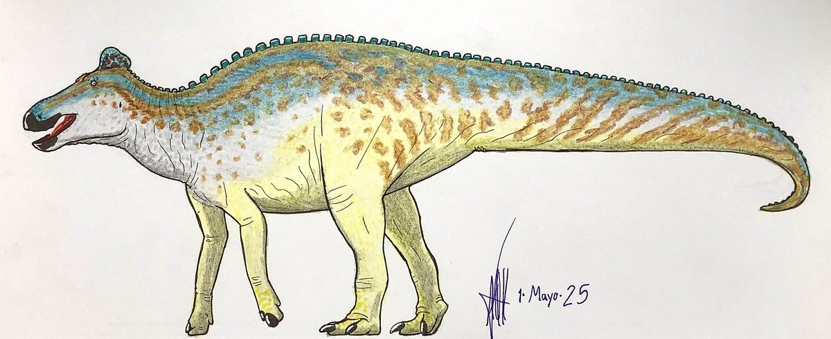 Edmontosaurus regalis

(References below)
#drawing #paleoart #dinosaur #Edmontosaurus #hadrosauridae