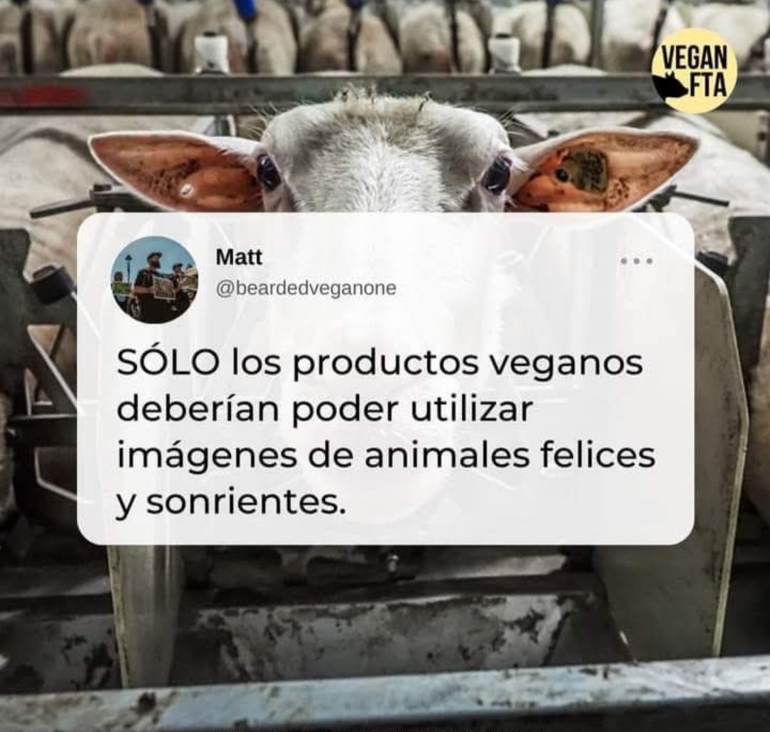 javito120's tweet photo. https://t.co/hS4DgWMV59