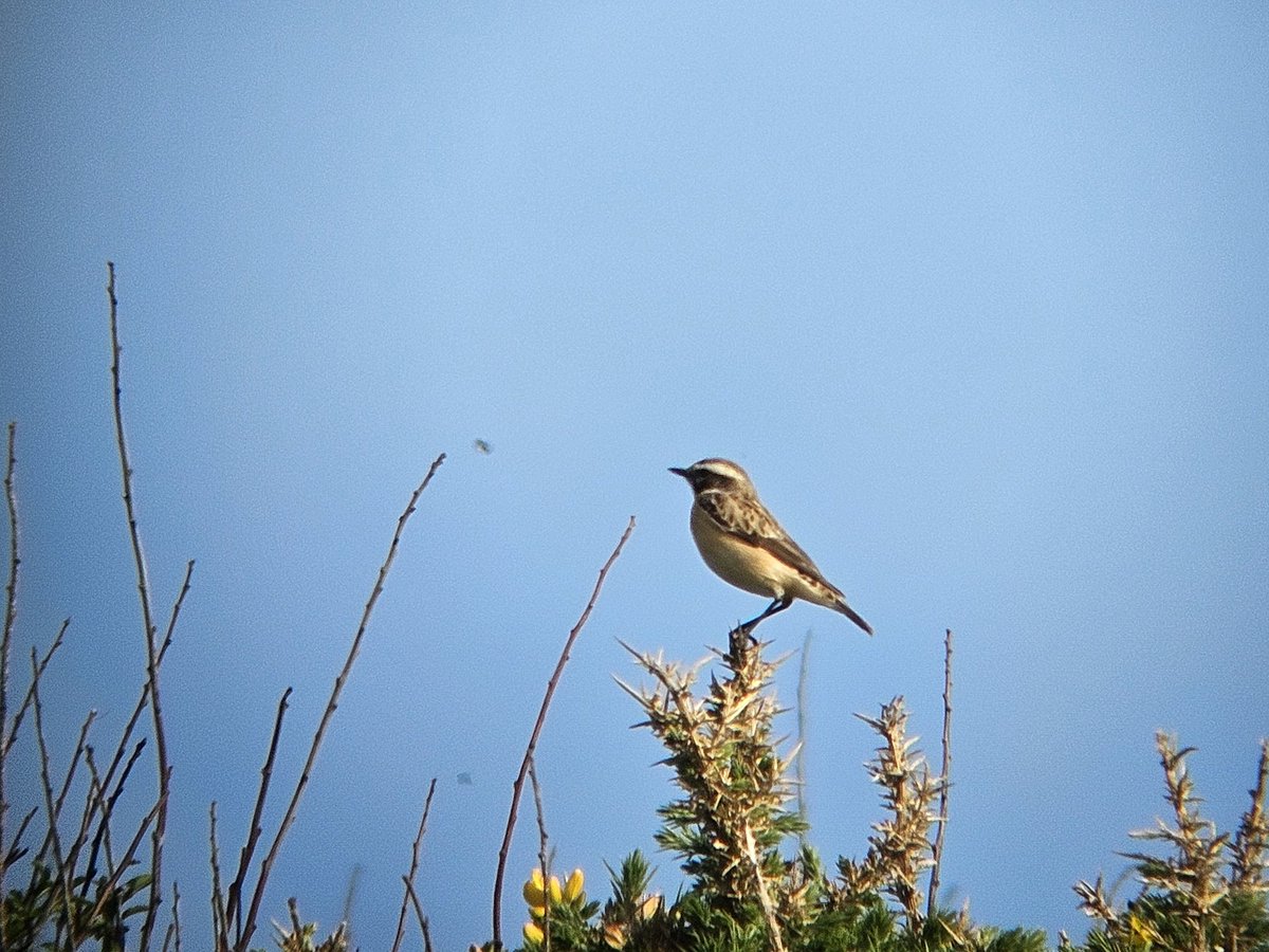 Luke Stoppard tweet media