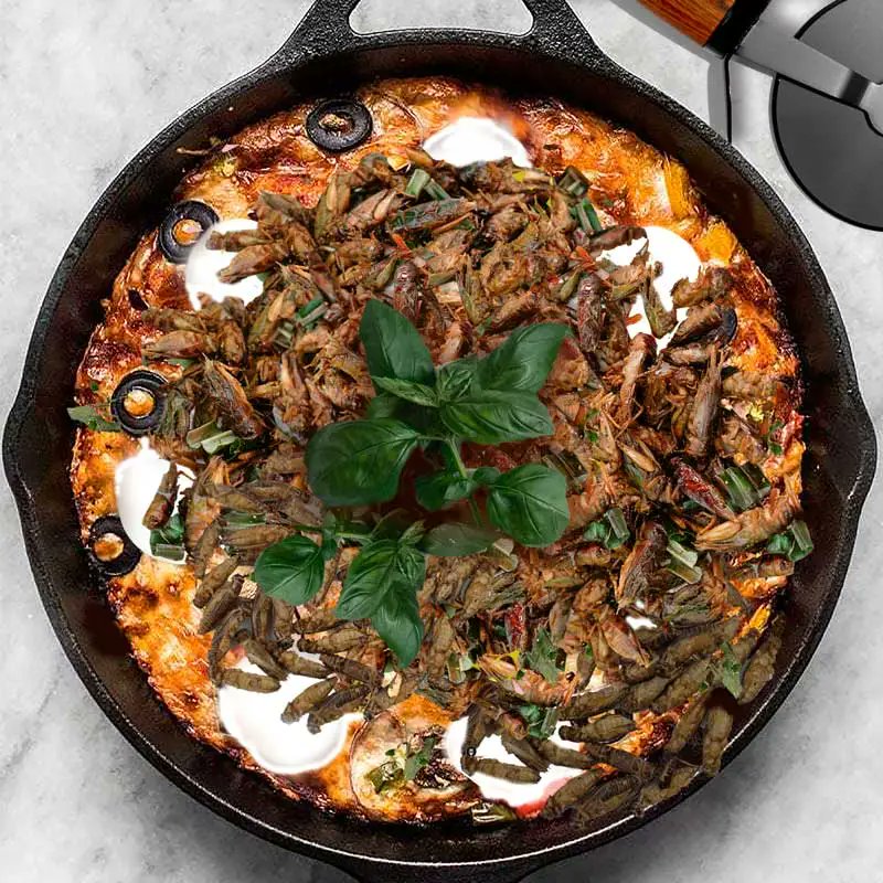 Would you eat Crickets? 🦗🦗🦗