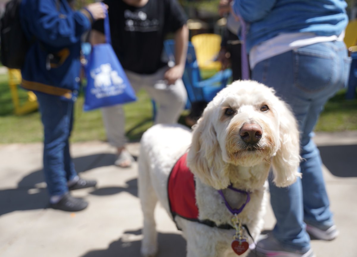 alleghenycol's tweet photo. Finals can be "ruff," but we believe in you Gators πΎ You're almost there!
#CampusVibes #CollegeCommunity #CollegeLife #ExamPrep #ExamSeason #Finals #FinalsPrep #FinalsMotivation #FinalsReady #FinalsSeason #FinalsWeek #StudentLife #StudyHard https://t.co/Eoxp5xiKJD