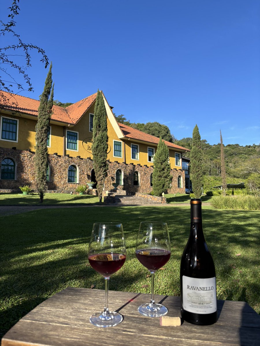 danielspohr_'s tweet image. Belezas da serra gaúcha 🍷