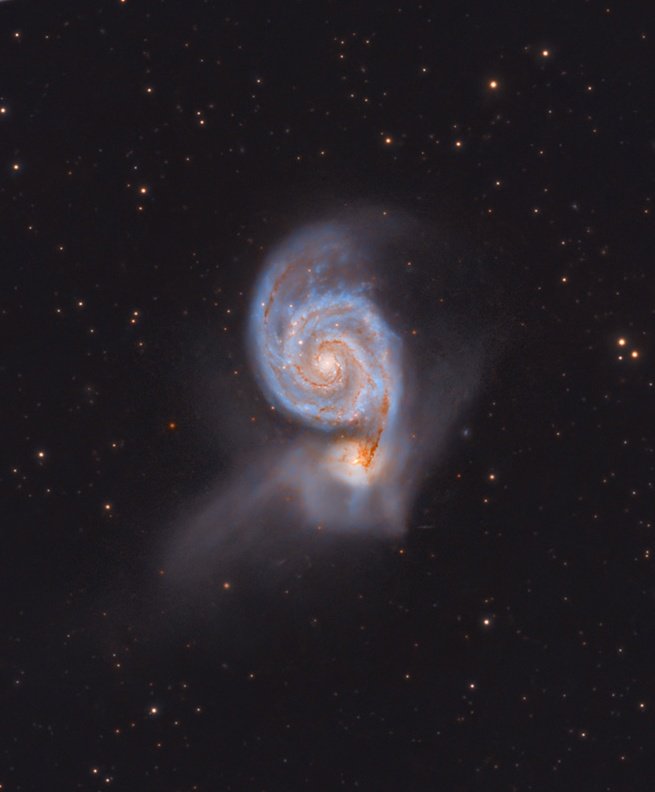 AstrofotografA_Ana tweet media