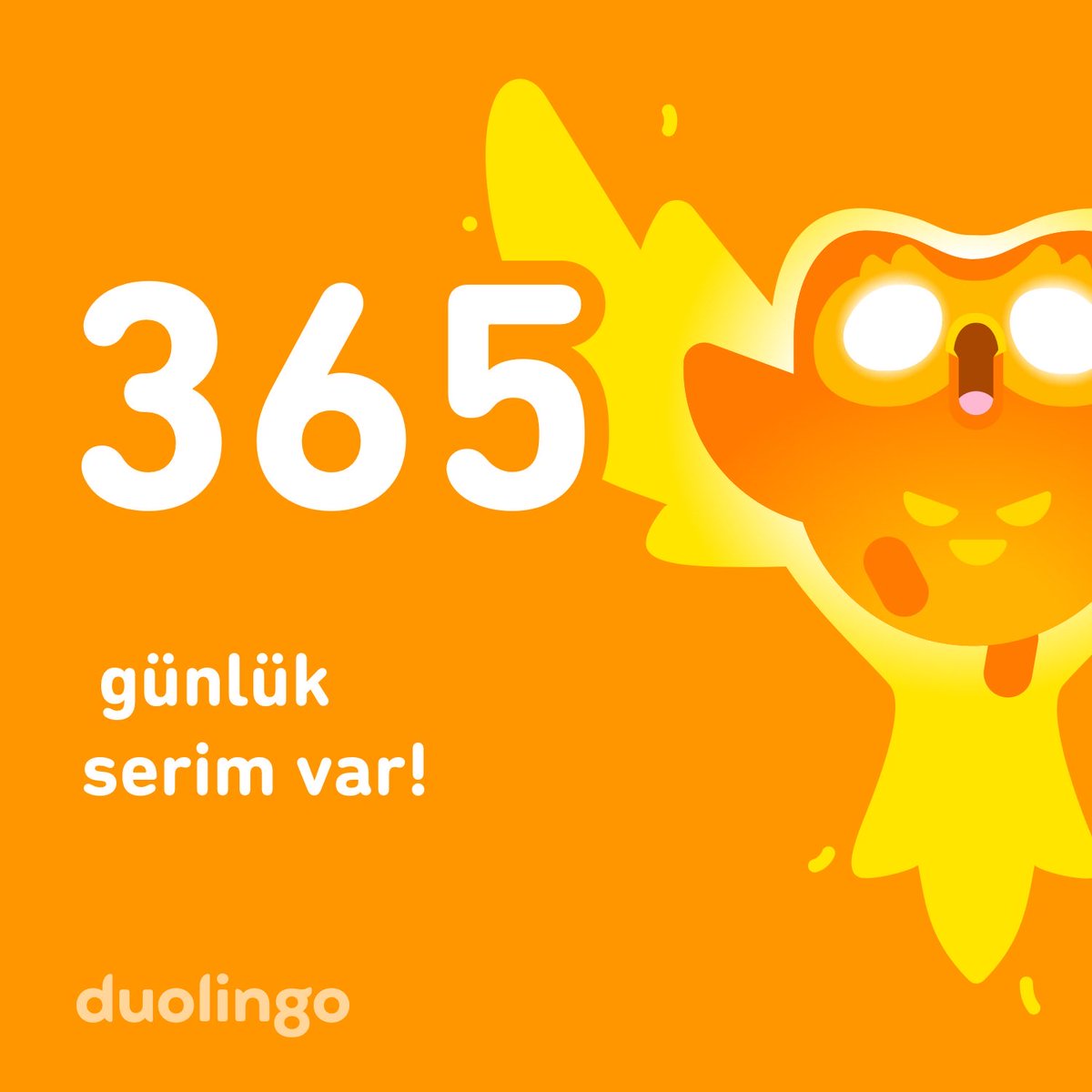 One year 👊🏻 🔥