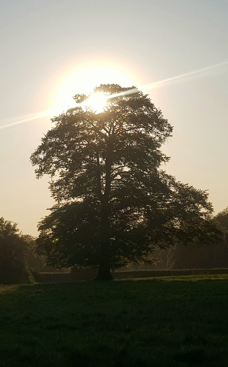 CrikeyIt'sCroydon tweet media