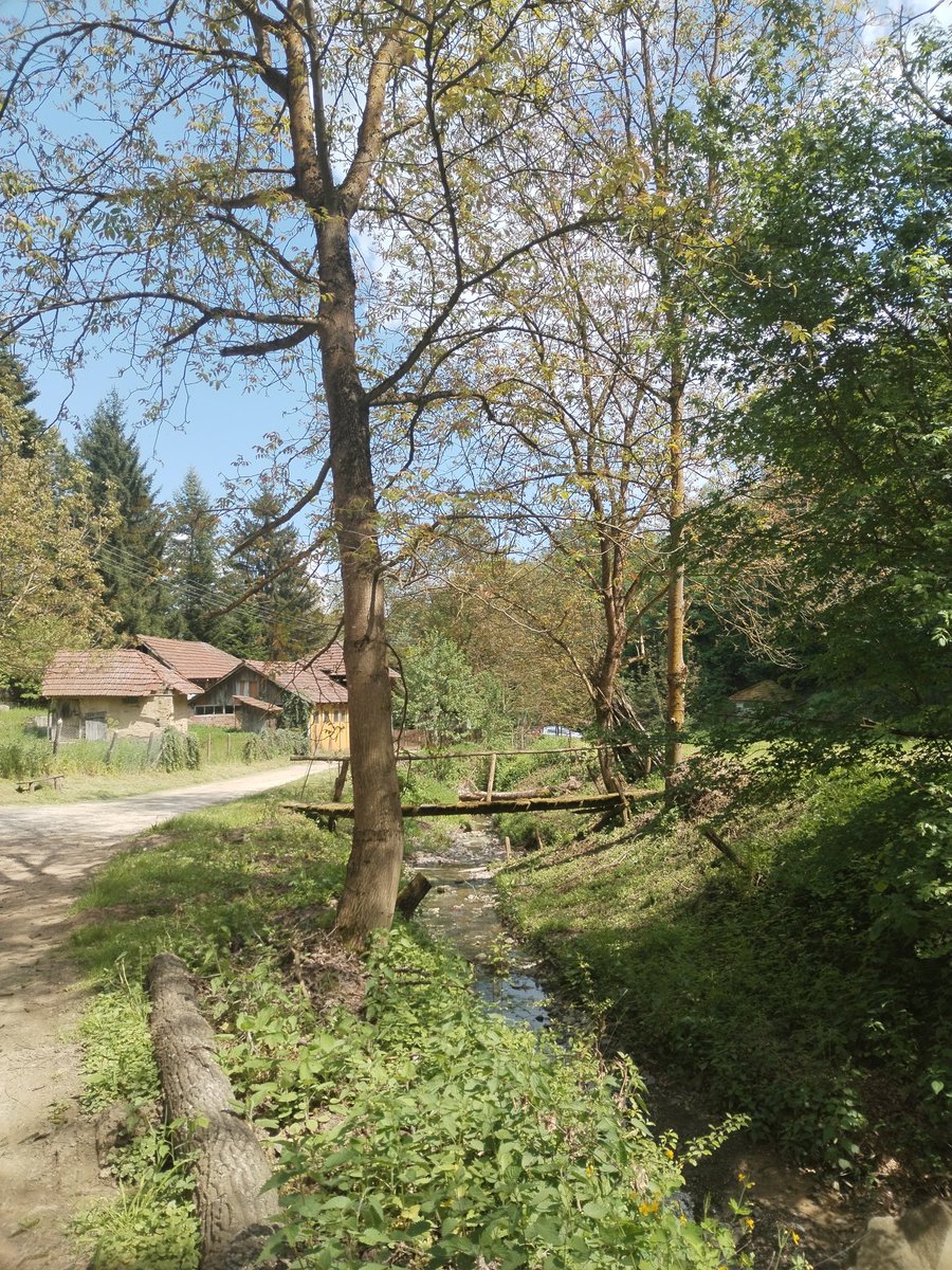 napsihijatrija's tweet image. #todayvibes