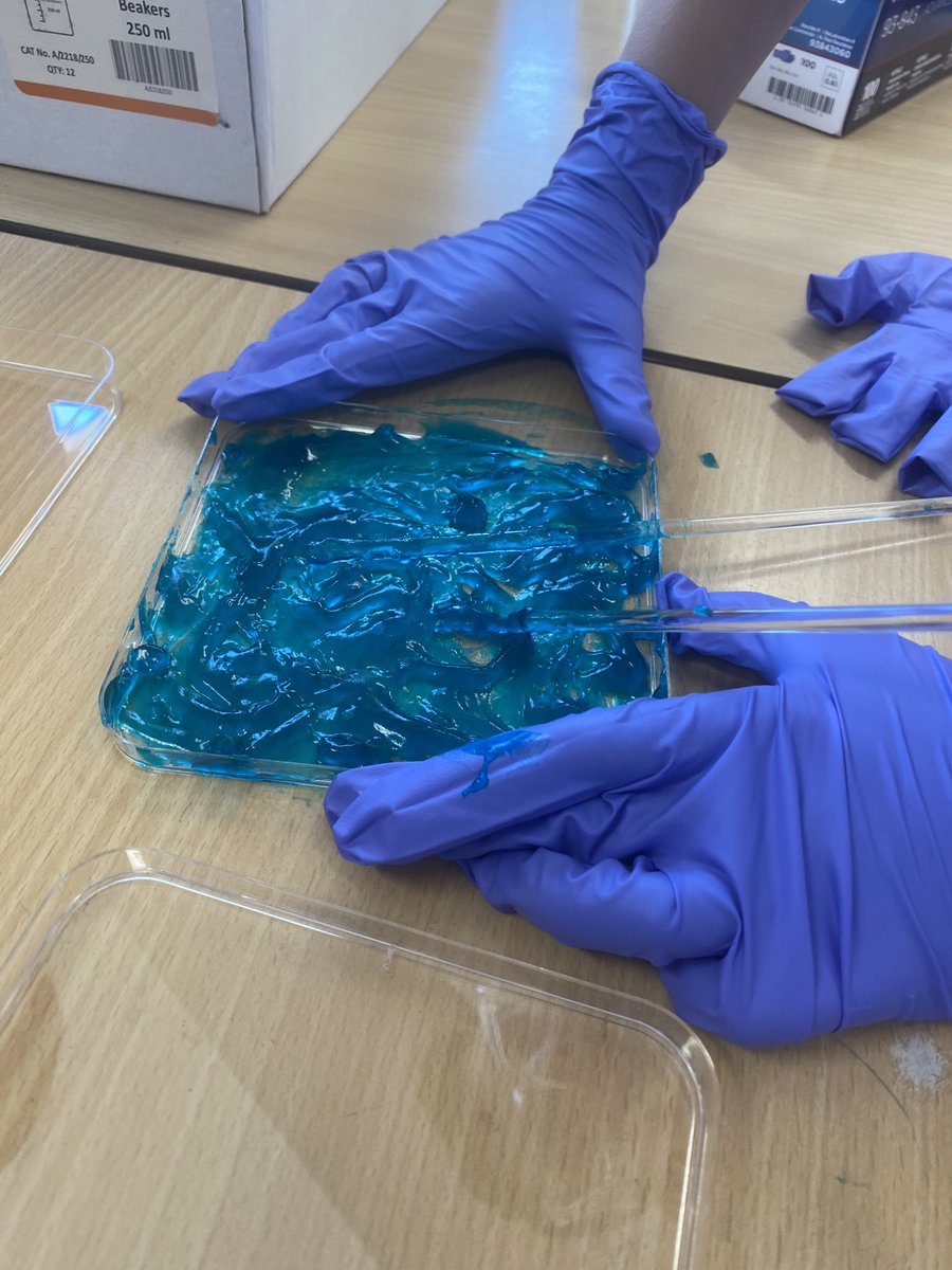 Carr Junior School (@carrjunioryork) on Twitter photo Making bioplastic from the starch we extracted from potatoes last session! The children are absolutely loving our sessions with Richard and Megan from <a href="/GreenChemYork/">Green Chemistry York</a> Making bioplastic from the starch we extracted from potatoes last session! The children are absolutely loving our sessions with Richard and Megan from <a href="/GreenChemYork/">Green Chemistry York</a>