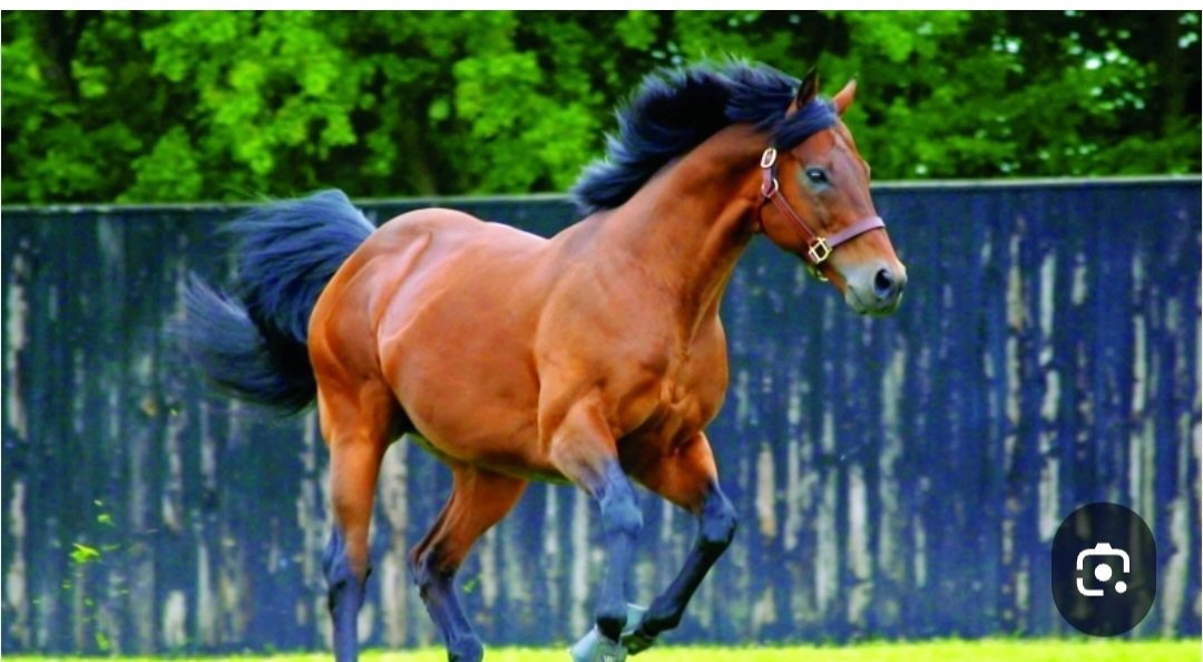 عايض البقمي tweet media