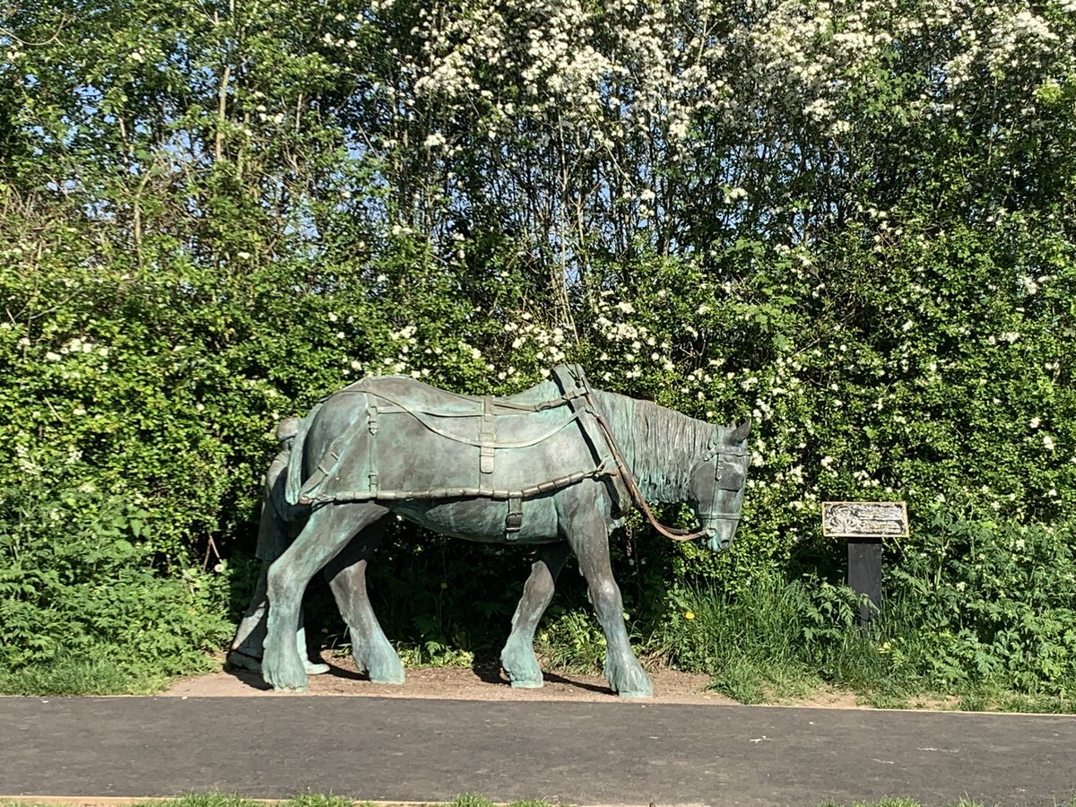 StanleyLakeland's tweet photo. Such excitement today pals, came back up #FoxtonLocks and unexpectedly one of me favourite aunties joined us. I was beside meself with excitement. No photos today, Mum too busy with locks #WeMissSue #BestLockkeeper https://t.co/aTgWSaucnh