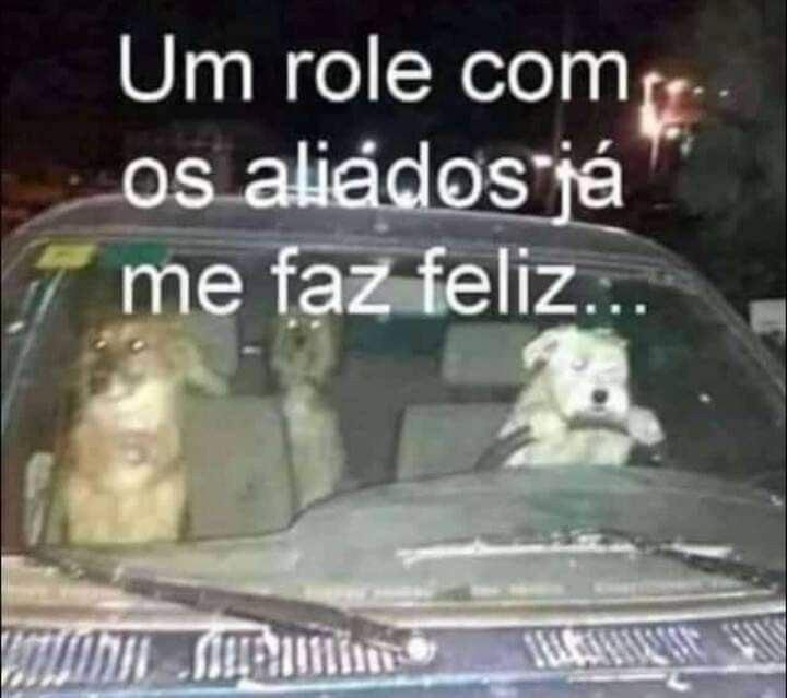 shitpostverdade's tweet photo. https://t.co/eQic0dzexx