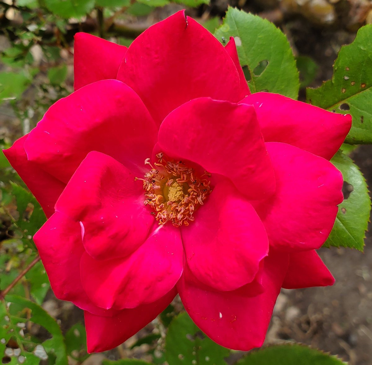 Coming in nicely before on left after on right