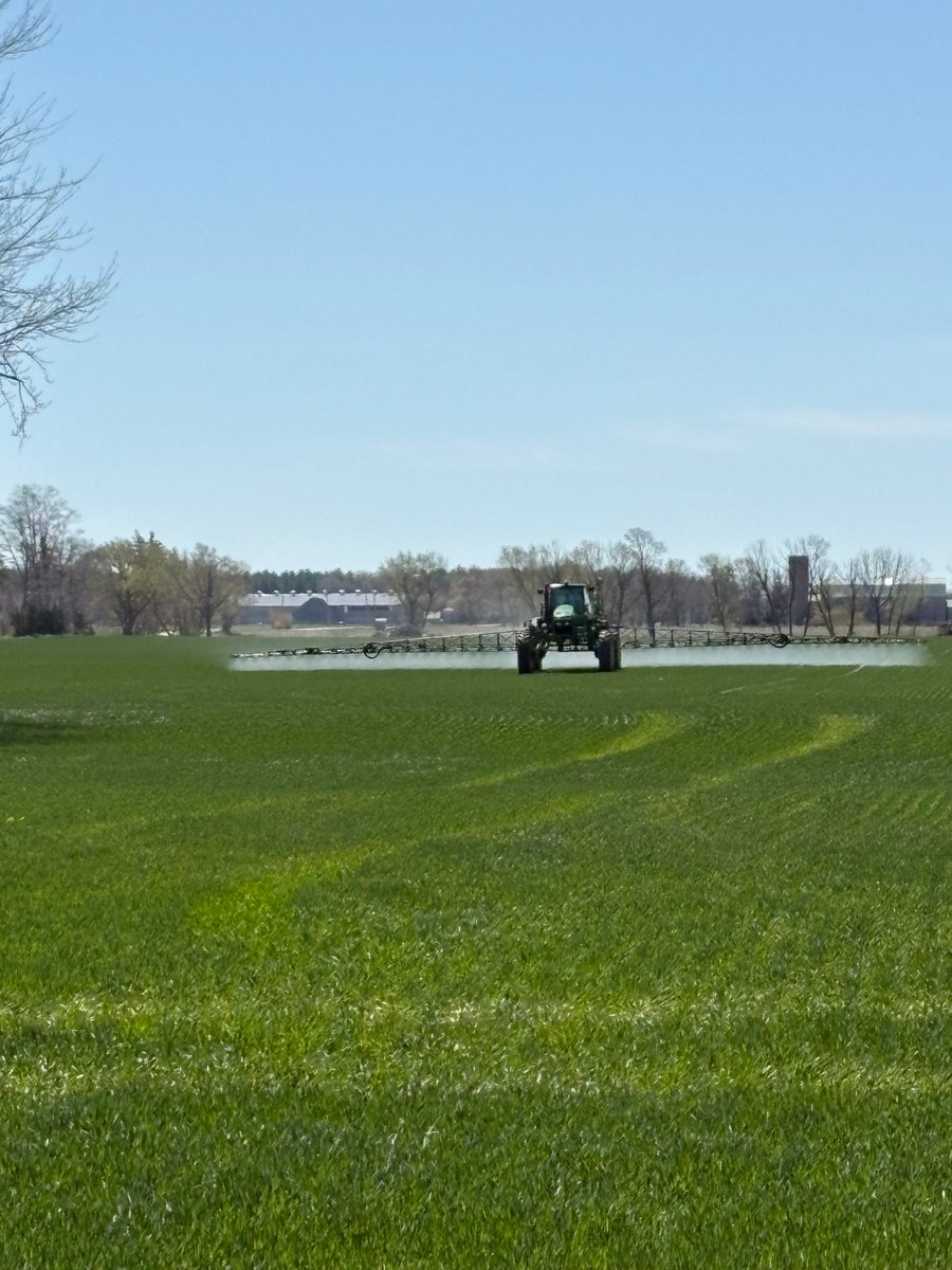 Hensall Co-op Agronomy (@hdcagronomy) on Twitter photo Herbicide timing is soon here for winter wheat! First question to ask: Was it underseeded to red clover?
That answer guides your options.
Make the right call—talk to your <a href="/HDCAgronomy/">Hensall Co-op Agronomy</a> Field Marketer today!
#WinterWheat #WeedControl #OntAg #HensallCoop Herbicide timing is soon here for winter wheat! First question to ask: Was it underseeded to red clover?
That answer guides your options.
Make the right call—talk to your <a href="/HDCAgronomy/">Hensall Co-op Agronomy</a> Field Marketer today!
#WinterWheat #WeedControl #OntAg #HensallCoop