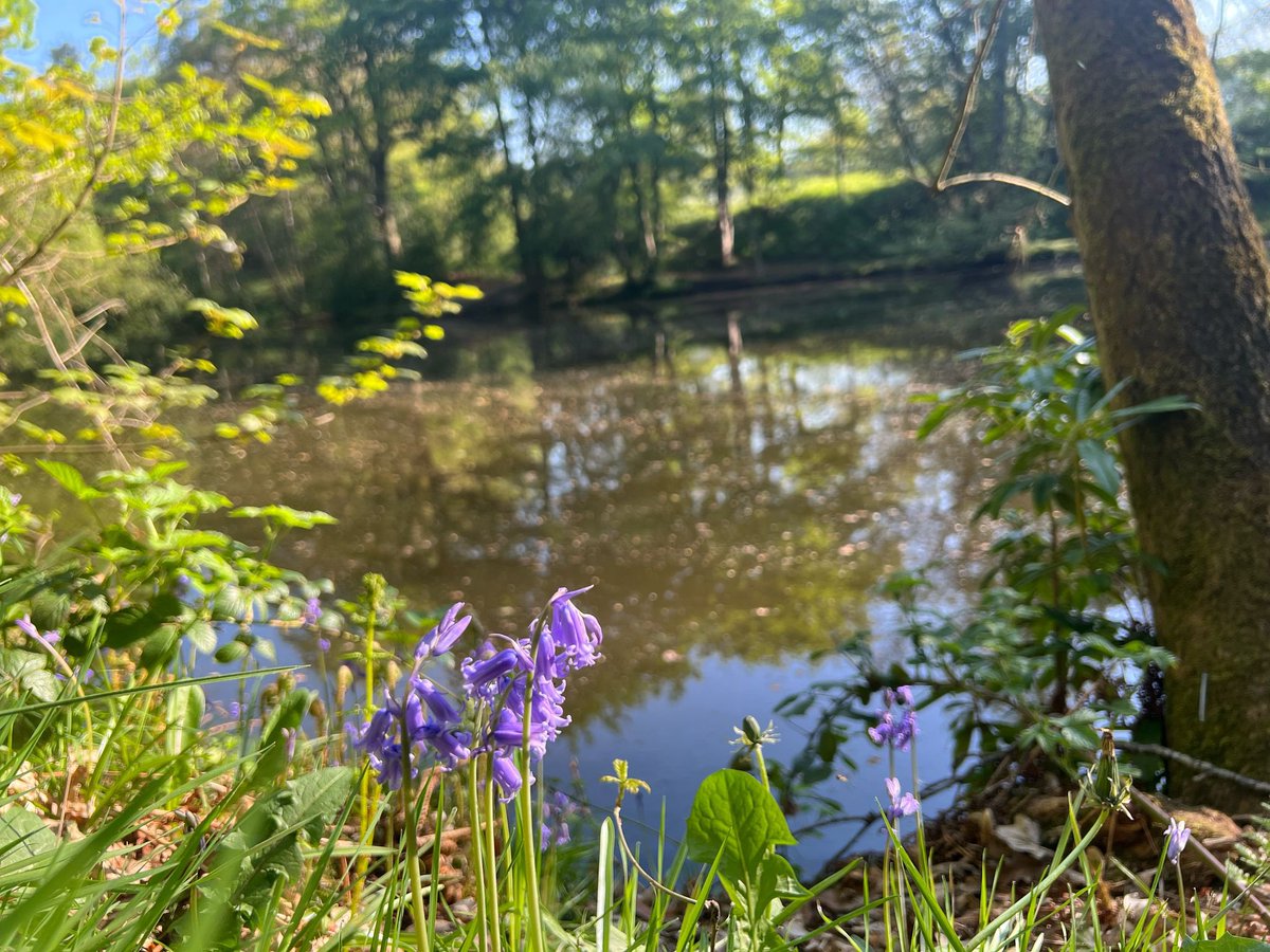 Keele campus today! Come and work with us, it is simply stunning