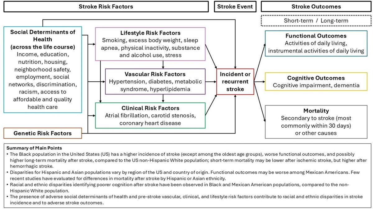 Hugo J. Aparicio, MD, MPH, FAHA (@hugoapariciomd) on Twitter photo "Racial and Ethnic Disparities in Stroke Incidence and Outcomes" published <a href="/SpringerNature/">Springer Nature</a> in Current Cardiovascular Risk Reports. Link to view the article here (and in bio): rdcu.be/ekakU
<a href="/AnjailIbrahim/">Dr. Anjail Sharrief-Ibrahim</a> <a href="/Lskolarus/">Lesli Skolarus</a> <a href="/MitchElkind/">Mitchell Elkind</a> <a href="/sudha_md/">Sudha Seshadri, MD</a> <a href="/AmyTowfighiMD/">Amy Towfighi</a> <a href="/EricaJones_MD/">Erica Jones, MD, MPH, FAHA</a> "Racial and Ethnic Disparities in Stroke Incidence and Outcomes" published <a href="/SpringerNature/">Springer Nature</a> in Current Cardiovascular Risk Reports. Link to view the article here (and in bio): rdcu.be/ekakU
<a href="/AnjailIbrahim/">Dr. Anjail Sharrief-Ibrahim</a> <a href="/Lskolarus/">Lesli Skolarus</a> <a href="/MitchElkind/">Mitchell Elkind</a> <a href="/sudha_md/">Sudha Seshadri, MD</a> <a href="/AmyTowfighiMD/">Amy Towfighi</a> <a href="/EricaJones_MD/">Erica Jones, MD, MPH, FAHA</a>