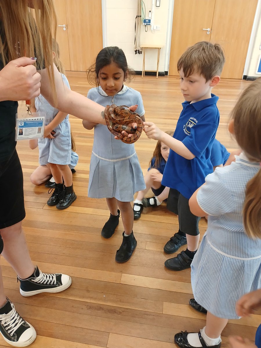 MissG_Burrows's tweet photo. More pictures from this afternoon 
@SammyWinchelsea 
@WinchelseaSch https://t.co/ssw2pRWcNW