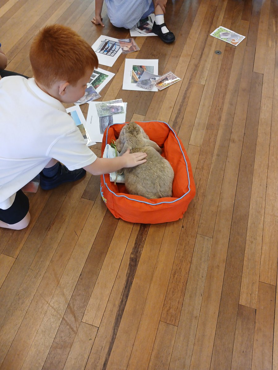 MissG_Burrows's tweet photo. More pictures from this afternoon 
@SammyWinchelsea 
@WinchelseaSch https://t.co/ssw2pRWcNW
