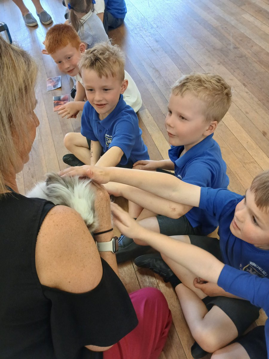 MissG_Burrows's tweet photo. More pictures from this afternoon 
@SammyWinchelsea 
@WinchelseaSch https://t.co/ssw2pRWcNW