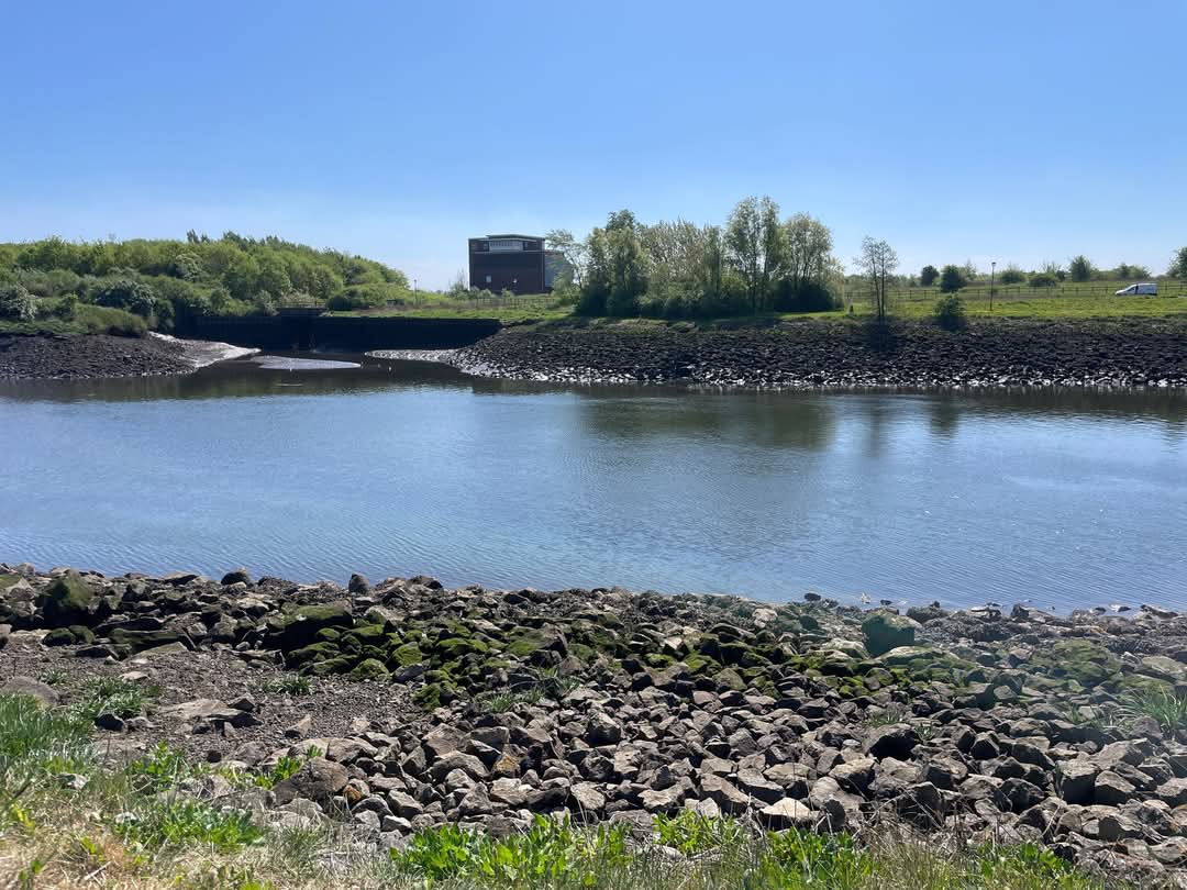 It's your last chance to take part in the #BigRiverWatch today! 🚨 While the weather is so lovely why not?
It was great completing a survey this morning, and it is so quick and easy!
It's a great opportunity to take part in citizen science, so tell us what you've seen below 🦆