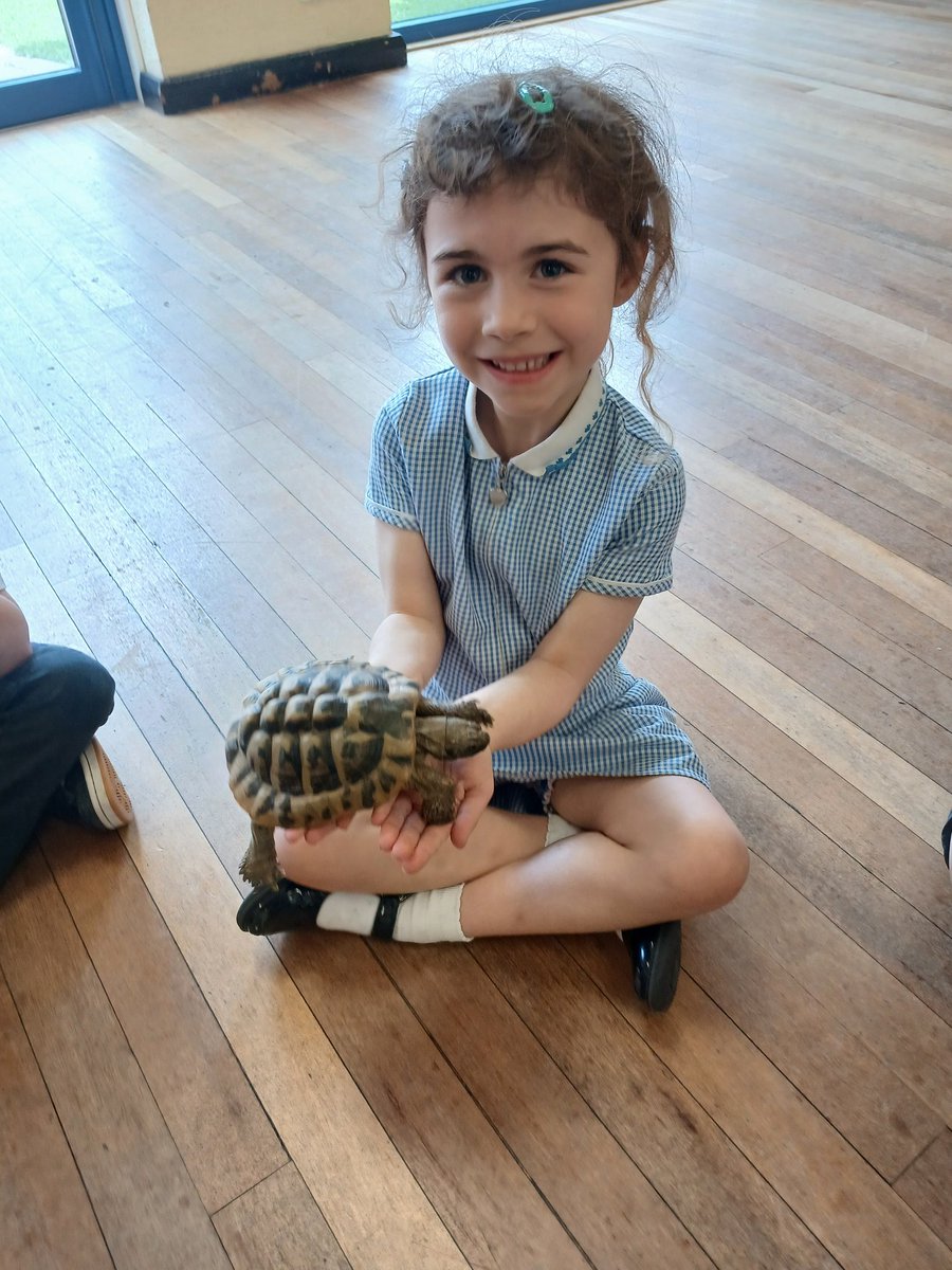 MissG_Burrows's tweet photo. Even more pictures of Opal class 🐢
@SammyWinchelsea 
@WinchelseaSch https://t.co/RYztDoNdAm