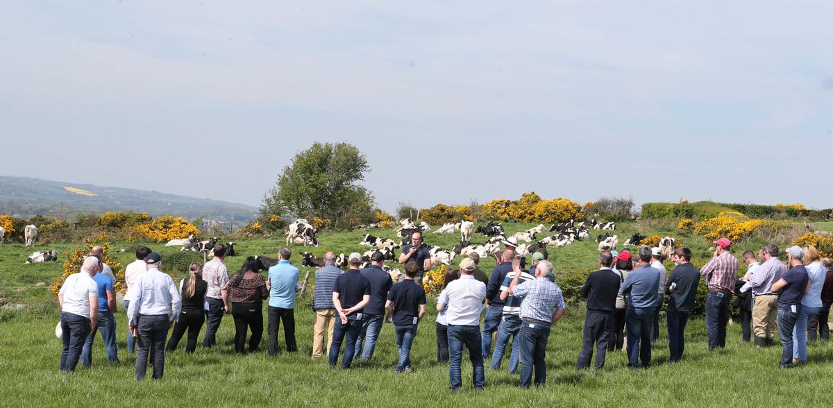 UlsterGrassland's tweet image. Enjoyable Spring Meeting y’day on the farm of Philip Truesdale at Ballyward
A young farmer who switched from beef & sheep ▶️ dairying
Focus on maximising grass growth, developing fertile cows & a good work:life balance
Visitors benefitting from #knowledgeexchange #networking