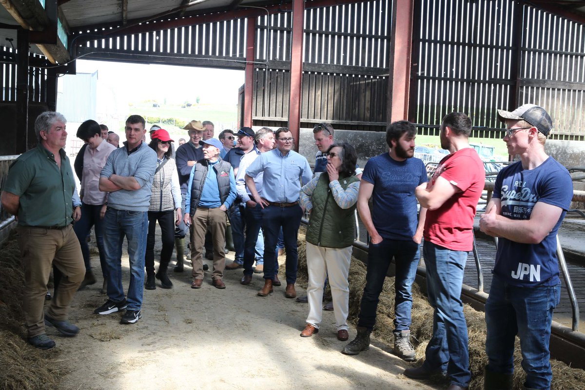 UlsterGrassland's tweet image. Enjoyable Spring Meeting y’day on the farm of Philip Truesdale at Ballyward
A young farmer who switched from beef & sheep ▶️ dairying
Focus on maximising grass growth, developing fertile cows & a good work:life balance
Visitors benefitting from #knowledgeexchange #networking