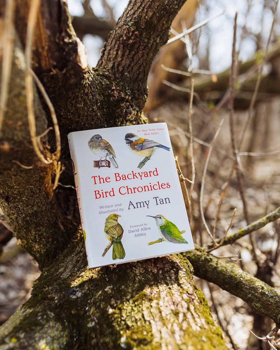AmyTanMemoir's tweet photo. 🦜BREAKING NEWS: Spring migration is here! To celebrate, @bookpassage has a special treat for you: A personalized copy of The Backyard Bird Chronicles by #AmyTan + a beautifully illustrated bird postcard from the book. Ships anywhere in the U.S. https://t.co/s9XvZ8s6hi https://t.co/XNFiTsRmwH