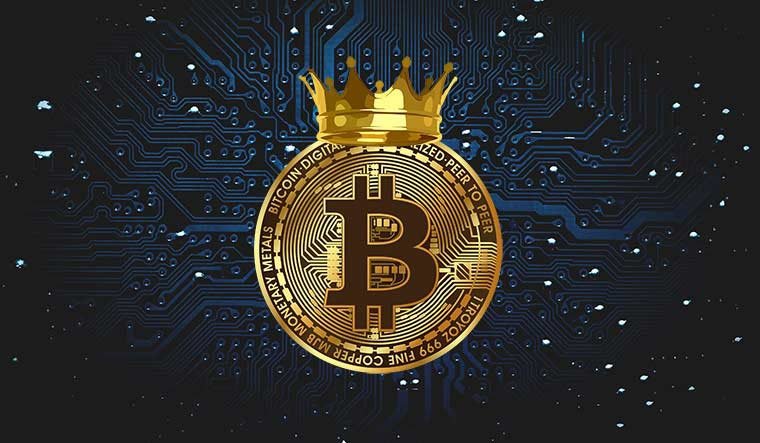 ₿itcoin Queen tweet media