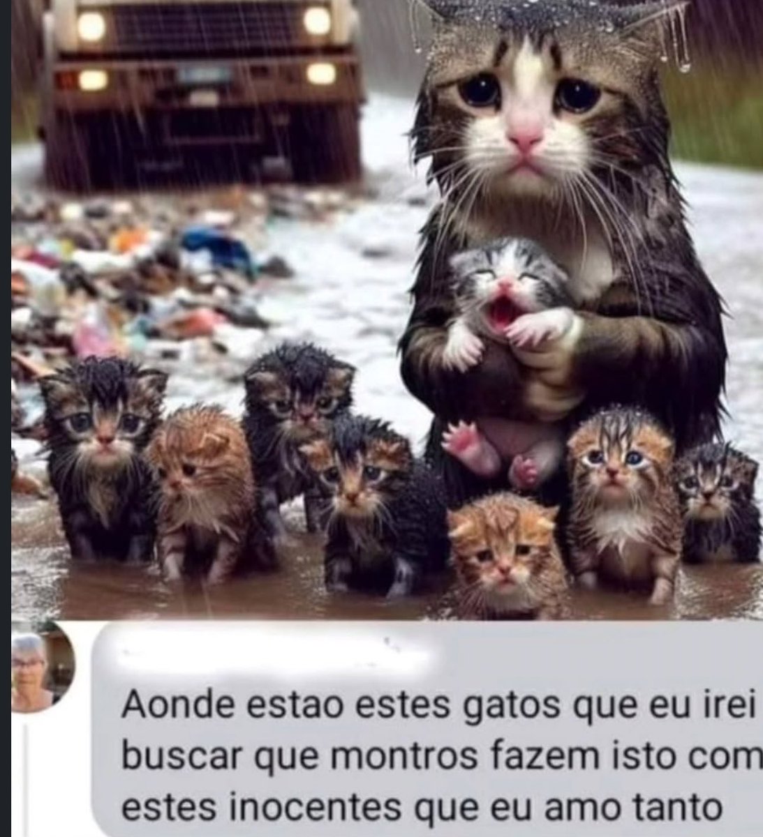 Shitpost só que de verdade (@shitpostverdade) on Twitter photo 