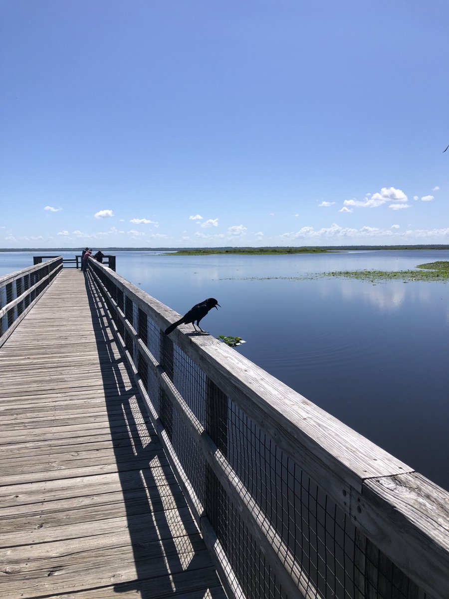 #Florida #Nature #PaynesPrairie