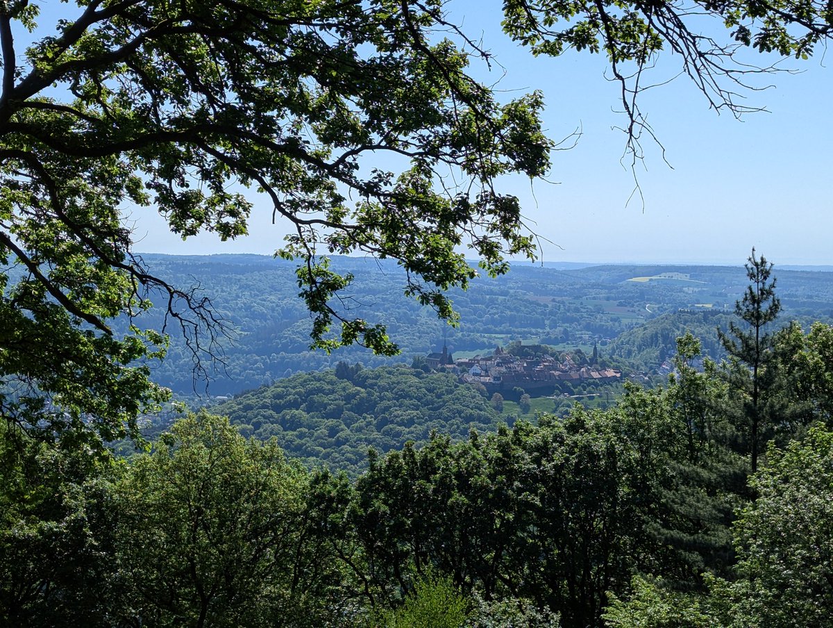 Blick vom Aussichtsturm auf dem Ochsenkopf auf die Burgfeste Dilsberg #Neckartal
