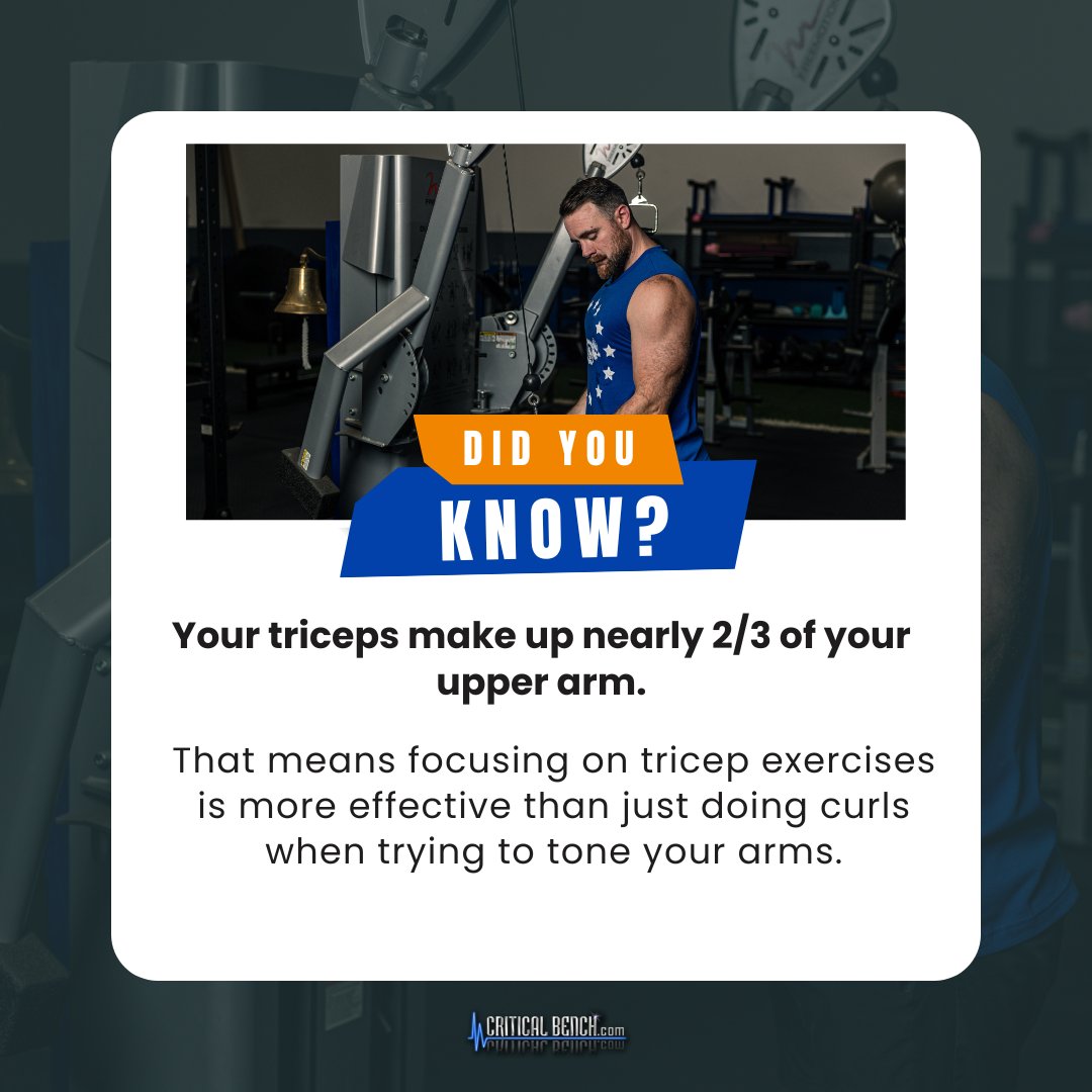 criticalbench's tweet image. Looking for an effective workout plan that fits your busy schedule? Dumbbell Domination provides efficient exercises to maximize results in minimal time. Get started here → bit.ly/3CcsItG?utm_so…

#TimeEfficientWorkout #MuscleBuilding #DumbbellDomination #FitnessFacts #Tricep