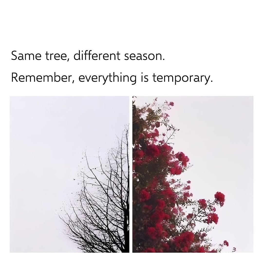 Words (@itswords_) on Twitter photo 