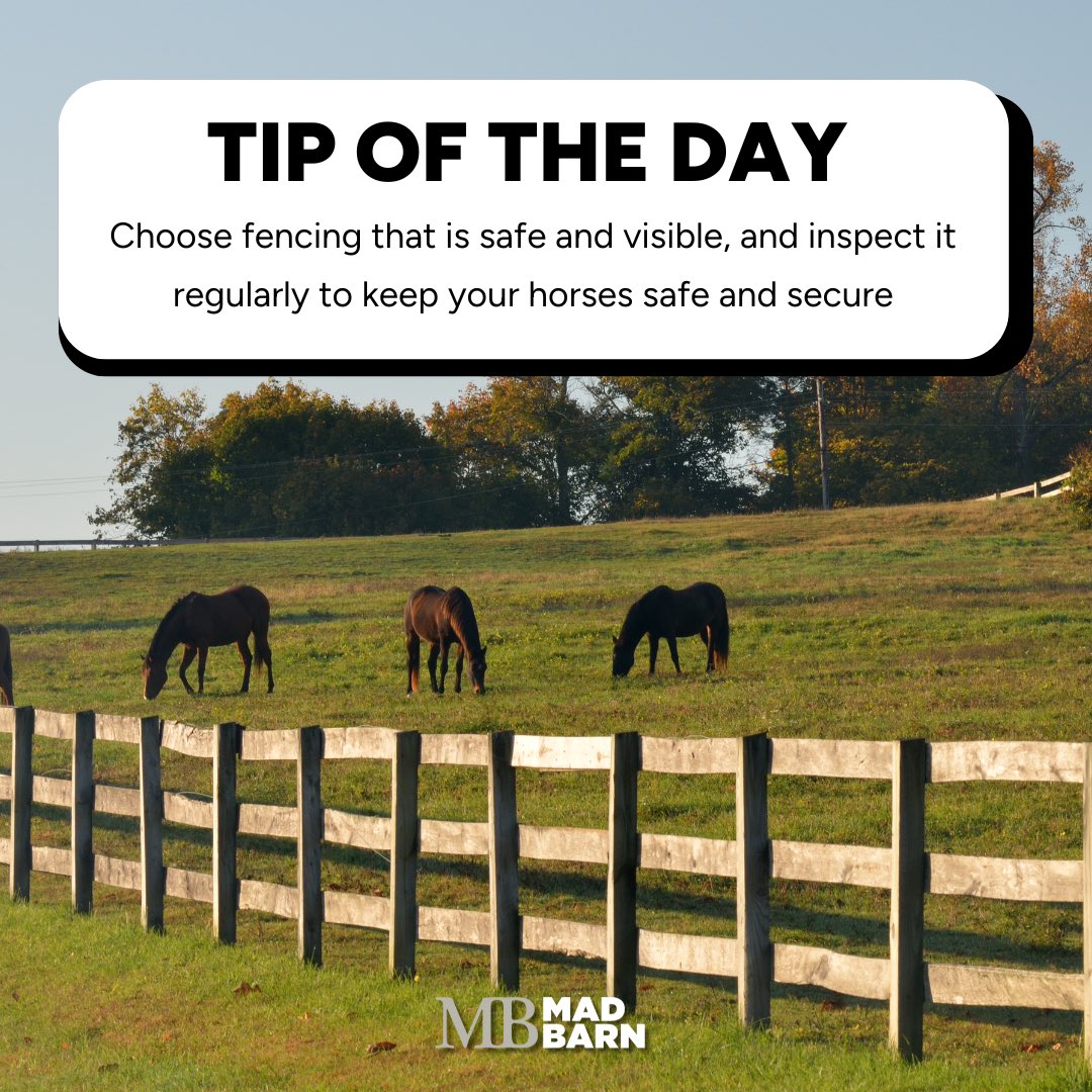 🐴 Tip of the Day: Choosing the Right Fence for Your Horse Property!

Not all fences are created equal when it comes to safety, function, and durability for your equine friends.

When designing your horse farm, consider:
✔️ Visibility – Horses need to see the fence to avoid