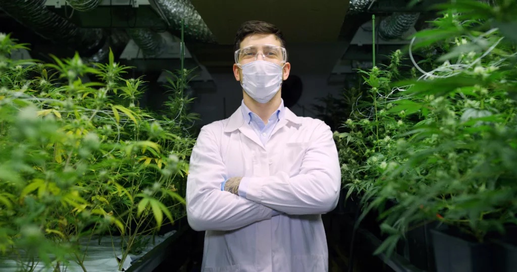 Panni_ERP's tweet photo. Unraveling the complexities of the cannabis supply chain? 🌿 Learn how ERP software can streamline your operations, from seed to sale, in our latest blog post! Read here: https://t.co/ejihLlpAQp #cannabis #supplychain #ERP #cannabisindustry #seedtosale https://t.co/PqP0oYIDxq