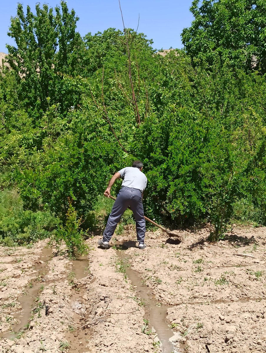 بابام همیشه میگه : "کار عار نیست، افتخاره."
روز کارگر مبارک پدری که با دستاش به من عزت رو یاد داد.