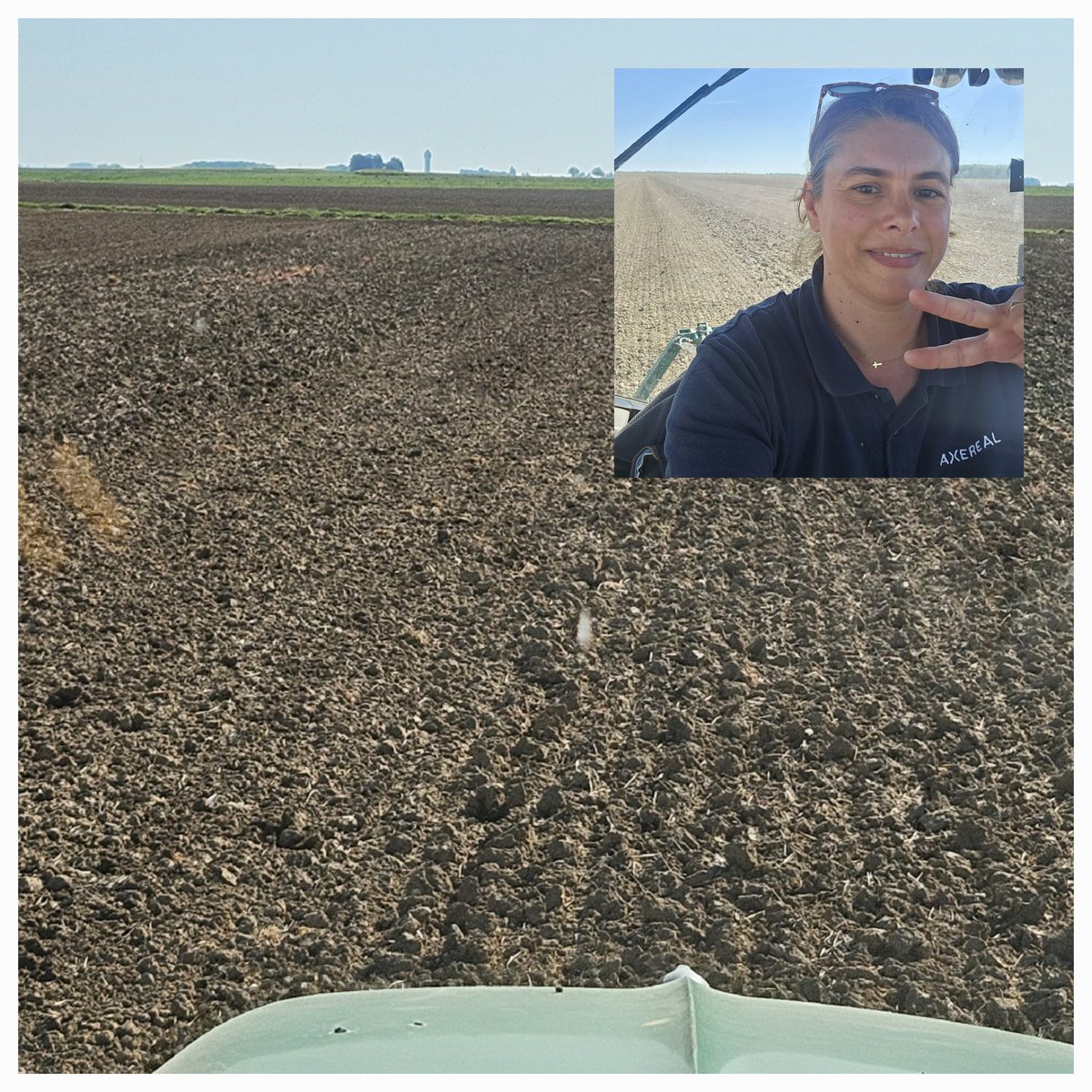 Comme un 1er mai, préparation des terrains et semis de la fleur du soleil 🌻, le tournesol. Bon 1er mai à tous.