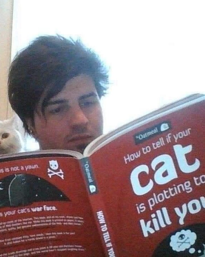 catshealdeprsn's tweet image. 