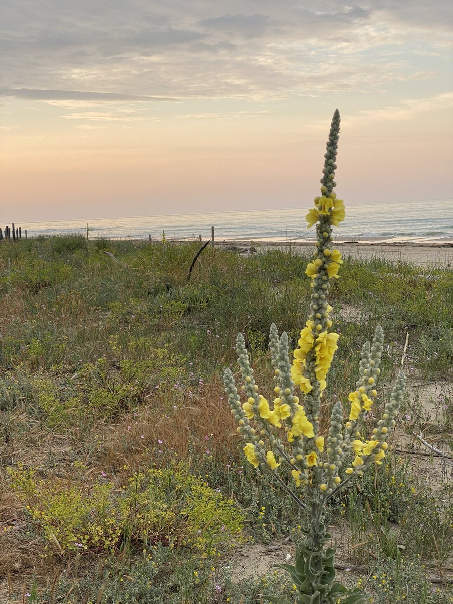 Crediamo in un futuro in cui le imprese siano motori di civiltà, non solo di economia. Riconoscere il valore della persona e costruire relazioni autentiche è fondamentale per un'evoluzione sostenibile e condivisa. Buona Festa delle lavoratrici e dei lavoratori! 💚 #PrimoMaggio
