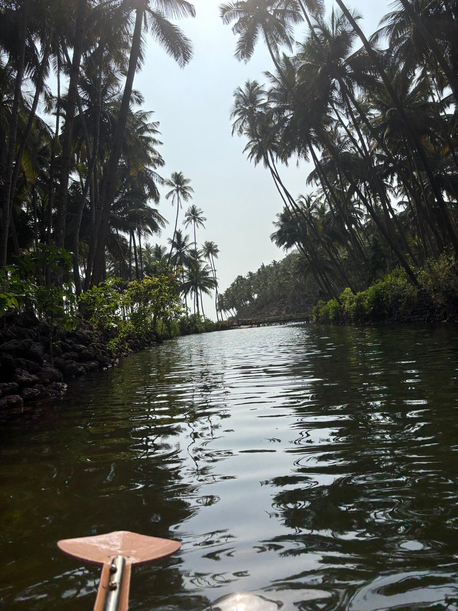 d17012002's tweet photo. GOA 🥹♥️ https://t.co/y3jM6lFQP0