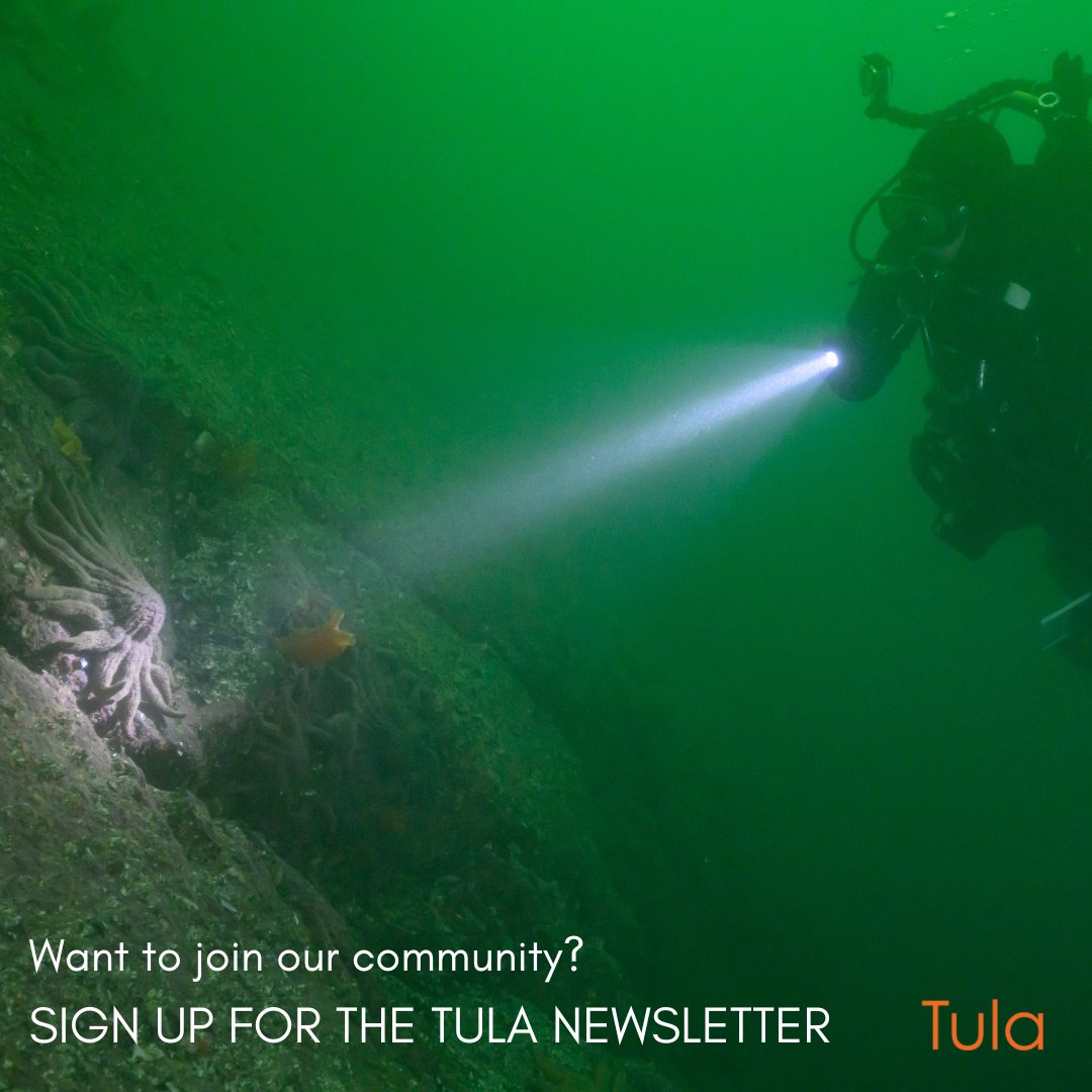 The first 2025 issue of the Tula Quarterly is around the corner—with fresh new stories about carving a traditional cedar canoe, monitoring mussel beds with AI, diving into the rich biodiversity of BC's Central Coast, and more. Subscribe now 🔗 tinyurl.com/36xwp887