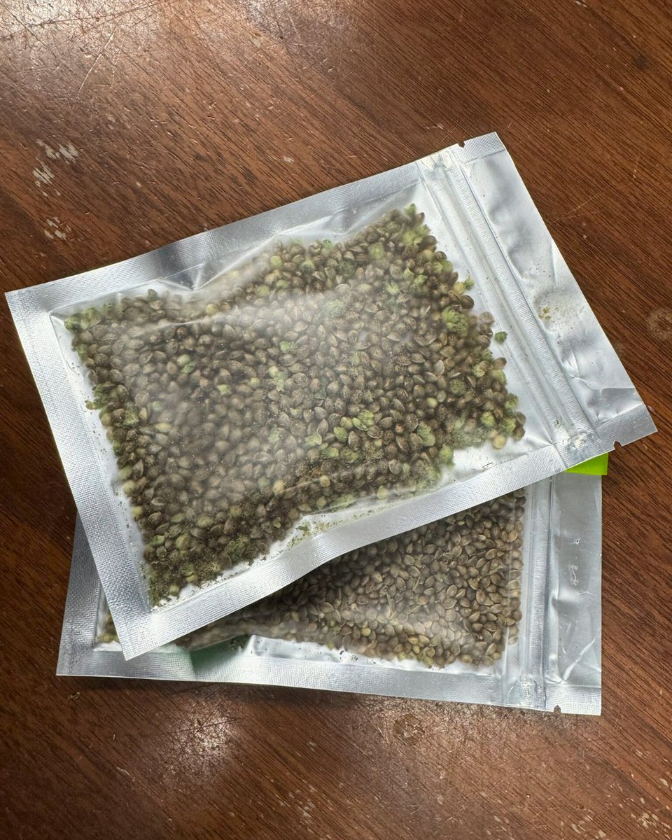 Holy City Farms tweet media