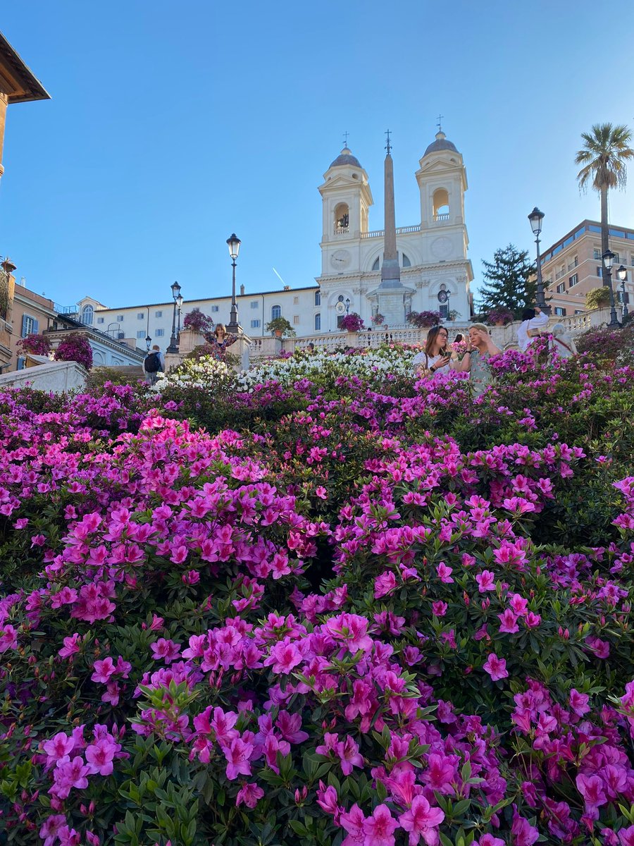 Mustapha Hussein- Musty (@mustapha1508) on Twitter photo Intanto auguri alla scalinata di Trinità dei Monti che ha 300 anni 😎❤️😘 inaugurata per il giubileo del 1725 #romeisus the Spanish Steps <a href="/TrastevereRM/">Trastevere</a> Intanto auguri alla scalinata di Trinità dei Monti che ha 300 anni 😎❤️😘 inaugurata per il giubileo del 1725 #romeisus the Spanish Steps <a href="/TrastevereRM/">Trastevere</a>