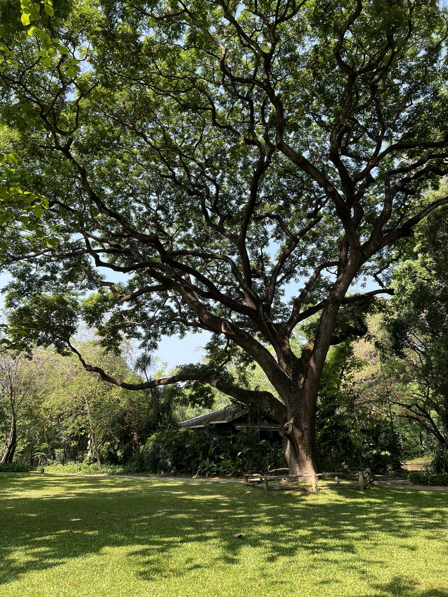 พินสะดุ่ยรีวิวนิยายและดูละครไปเรื่อยๆ tweet media