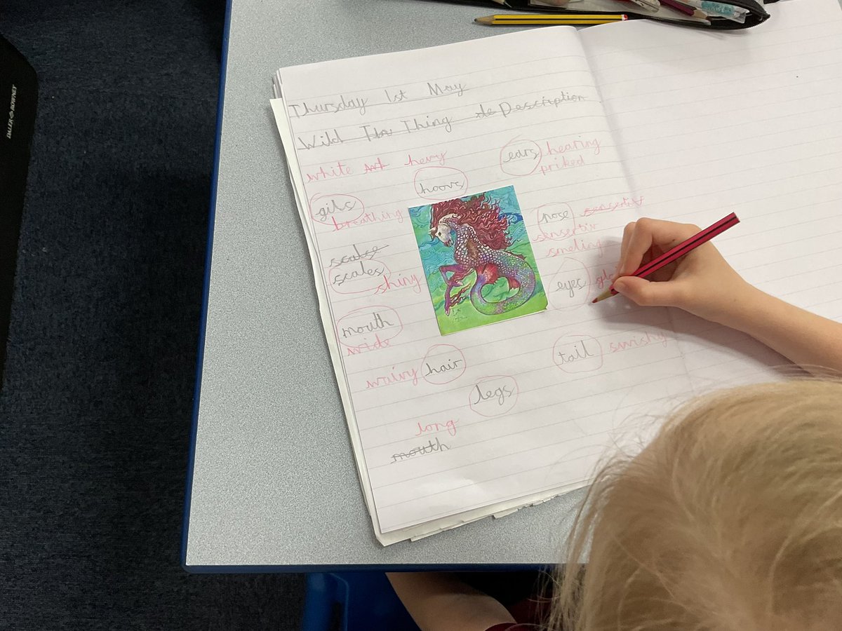 PDA_Y2's tweet image. Getting creative with our imagination as we gather ideas to describe our wild thing. #pdaenglish